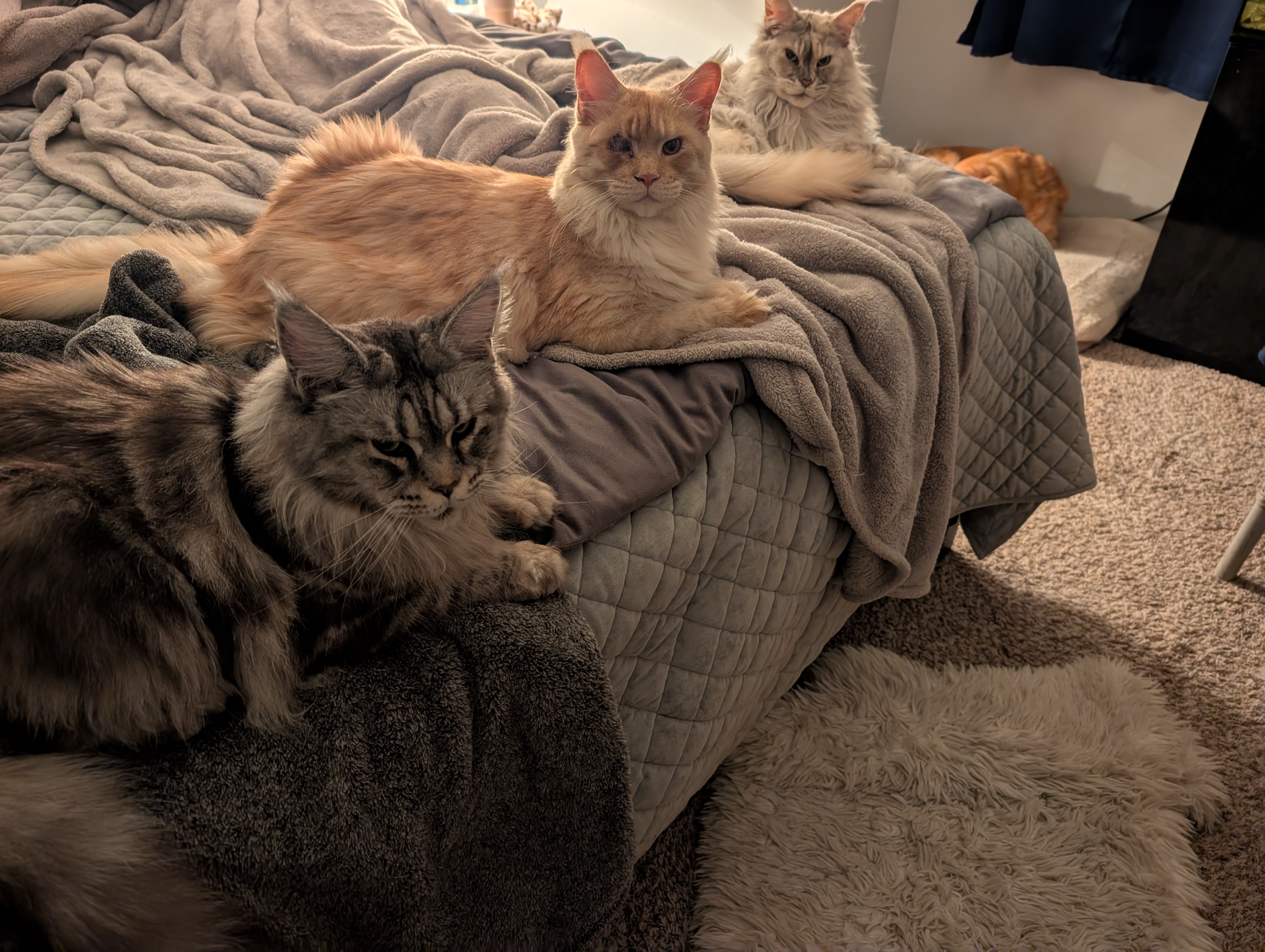 Nina, Delta, and Jack together
