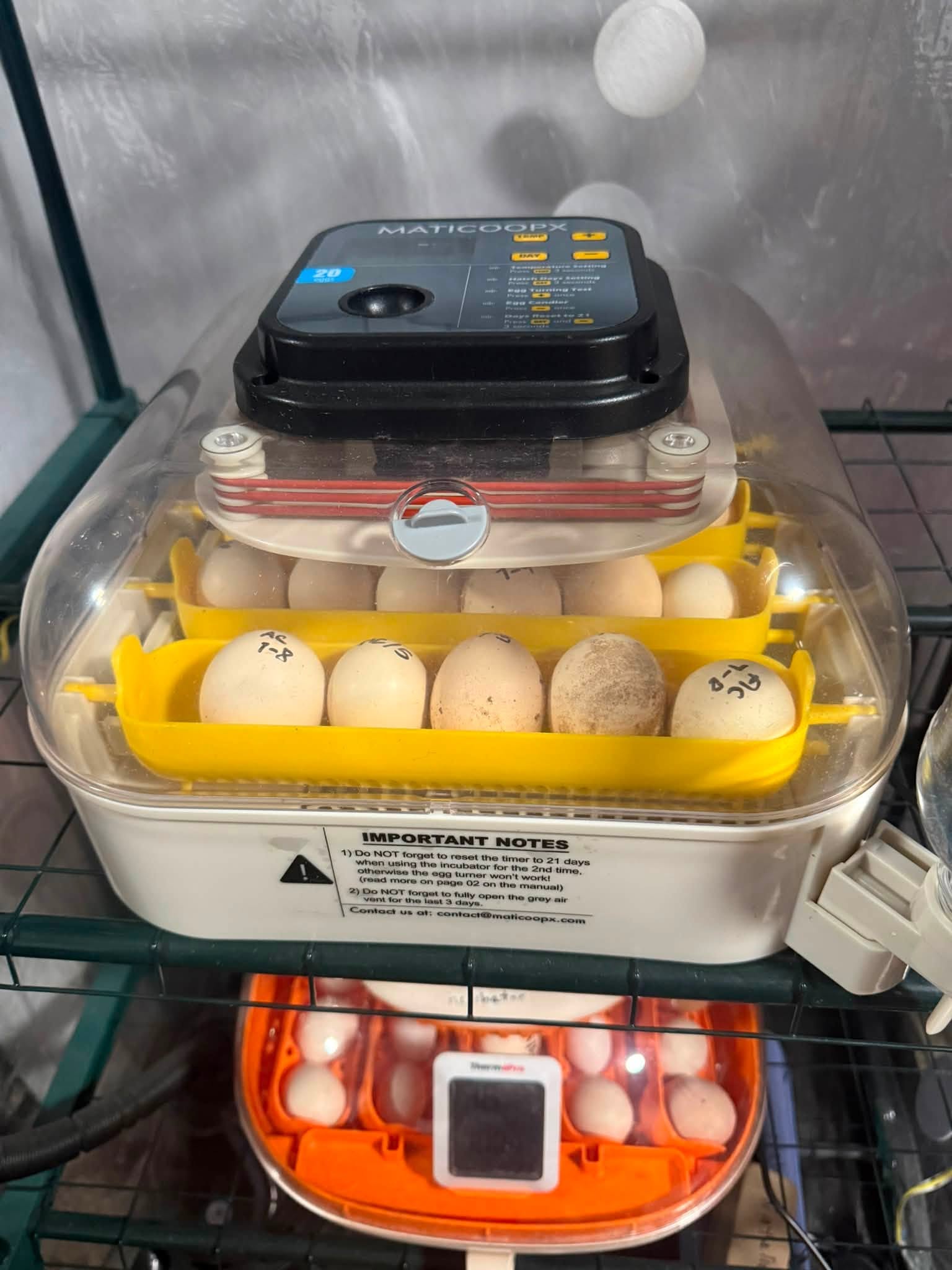 Our incubator — where eggs are held before pickup