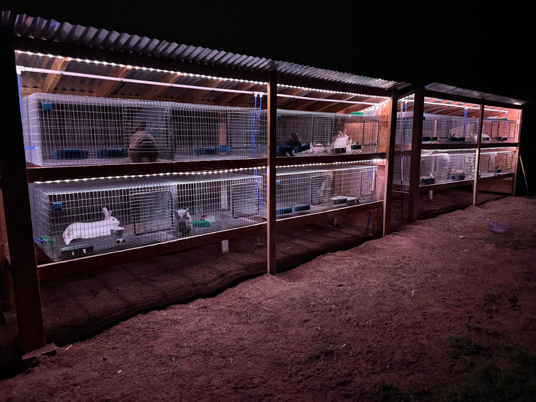 Row of raised rabbit hutches